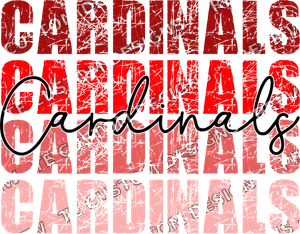 Cardinals Red School MascotSports